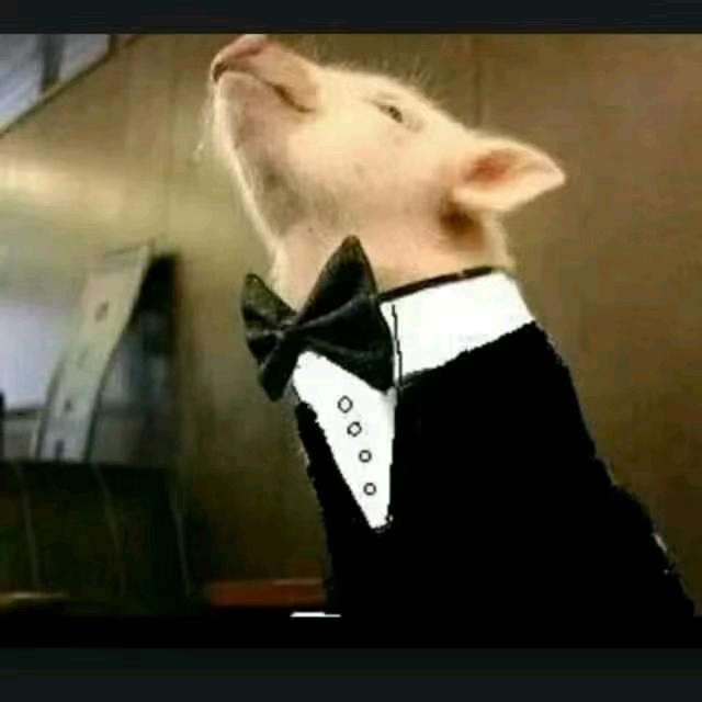 终归只是陌路人