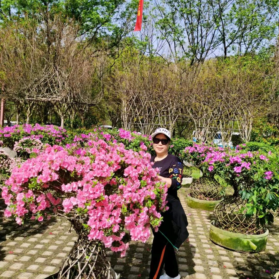 红苹果