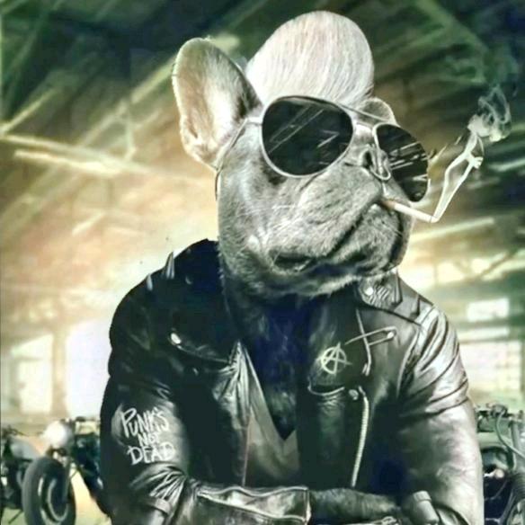 脸迎向阳光☀️