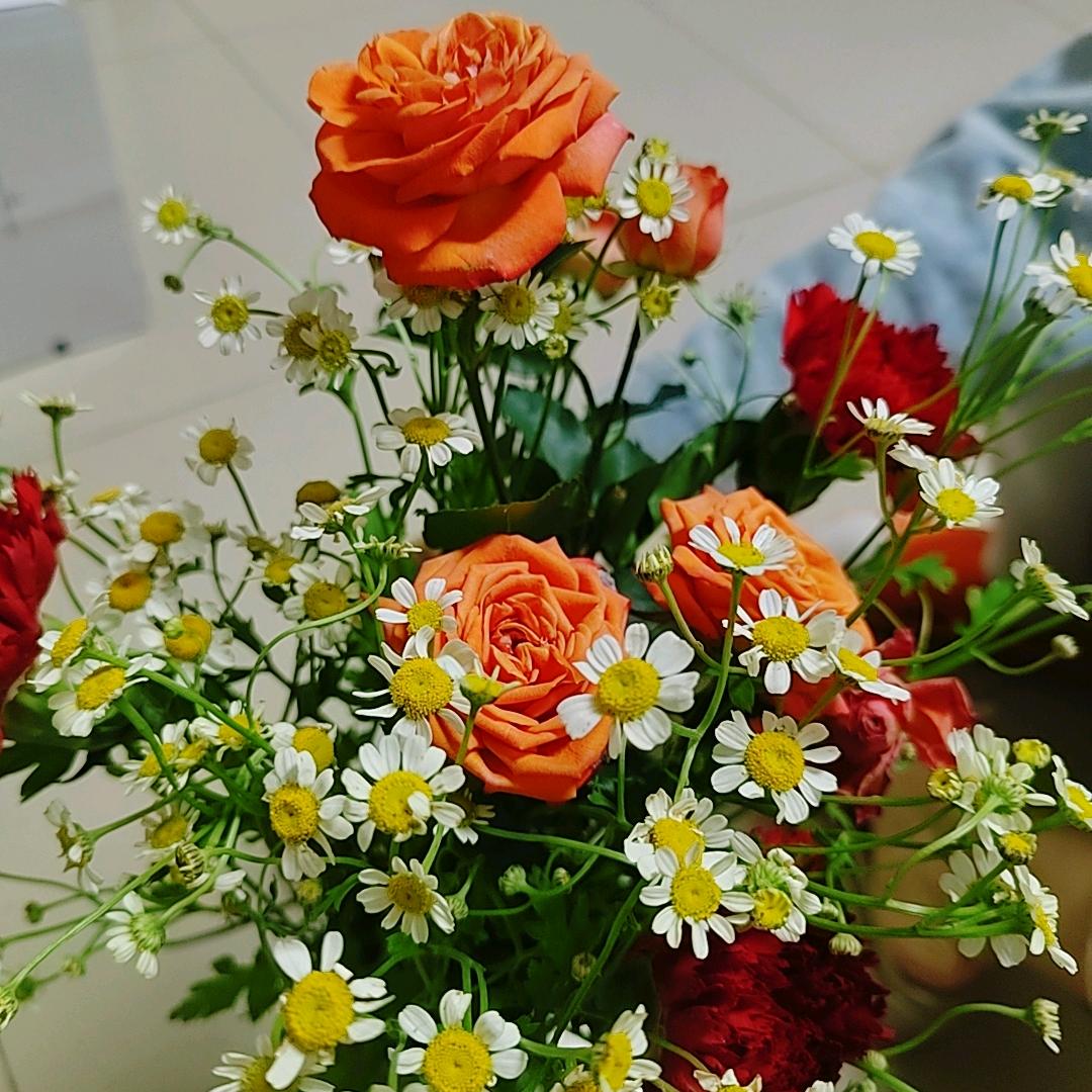 丹丹🌸
