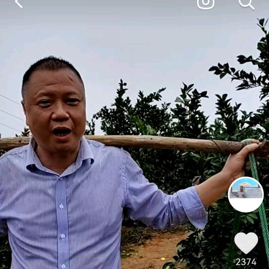 好嘉欣食品专营店