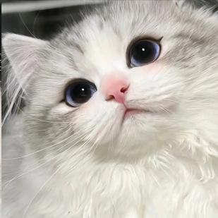 涵..