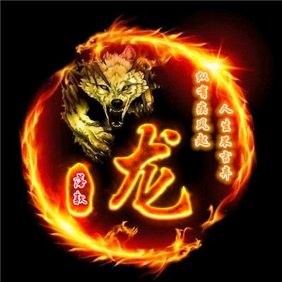 贵州龍氏中草药