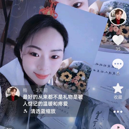 雪中看梅