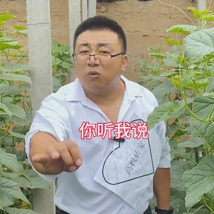 开心果～李砖家