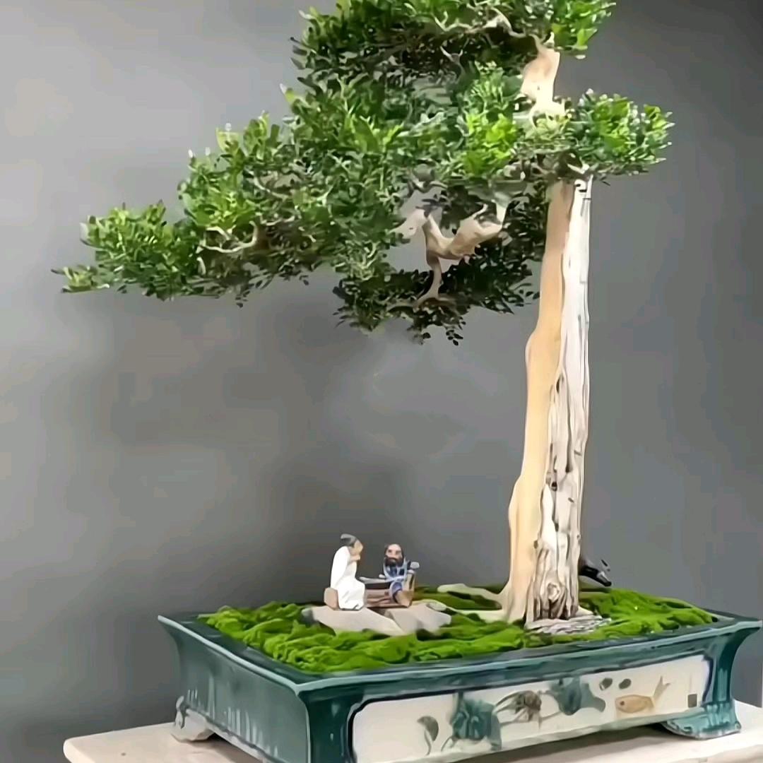 山水间盆景盆栽