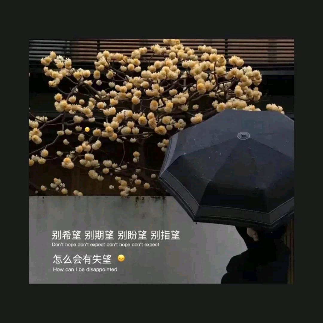 雨巷里徘徊