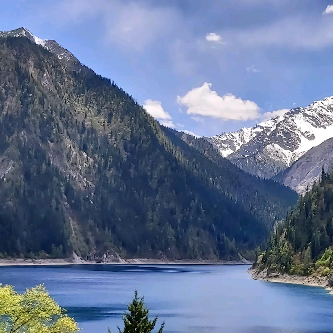 强子/电镀锌及金属表面处理