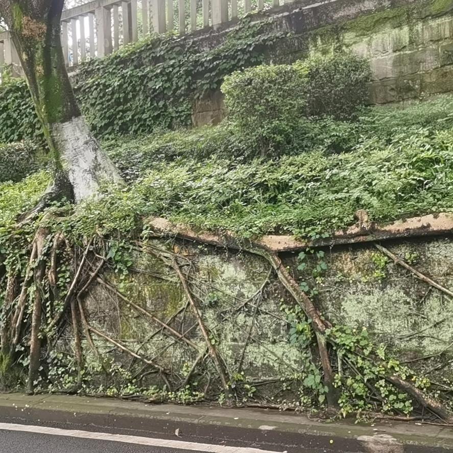 与你同行