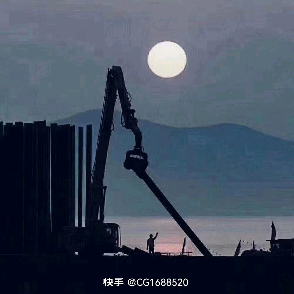 打拔机 钢板桩租赁