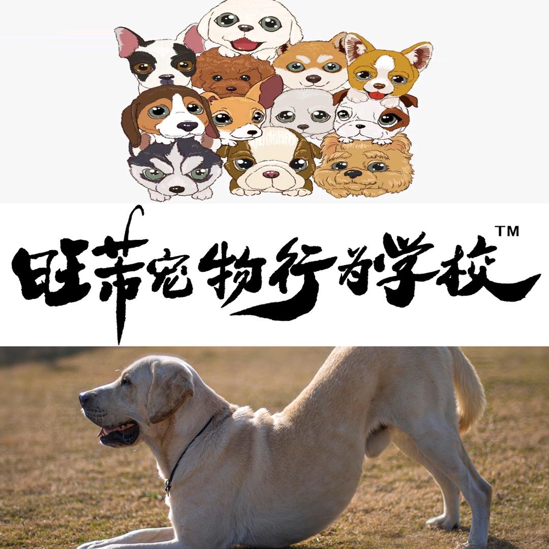 旺芾（fú)宠物行为学校