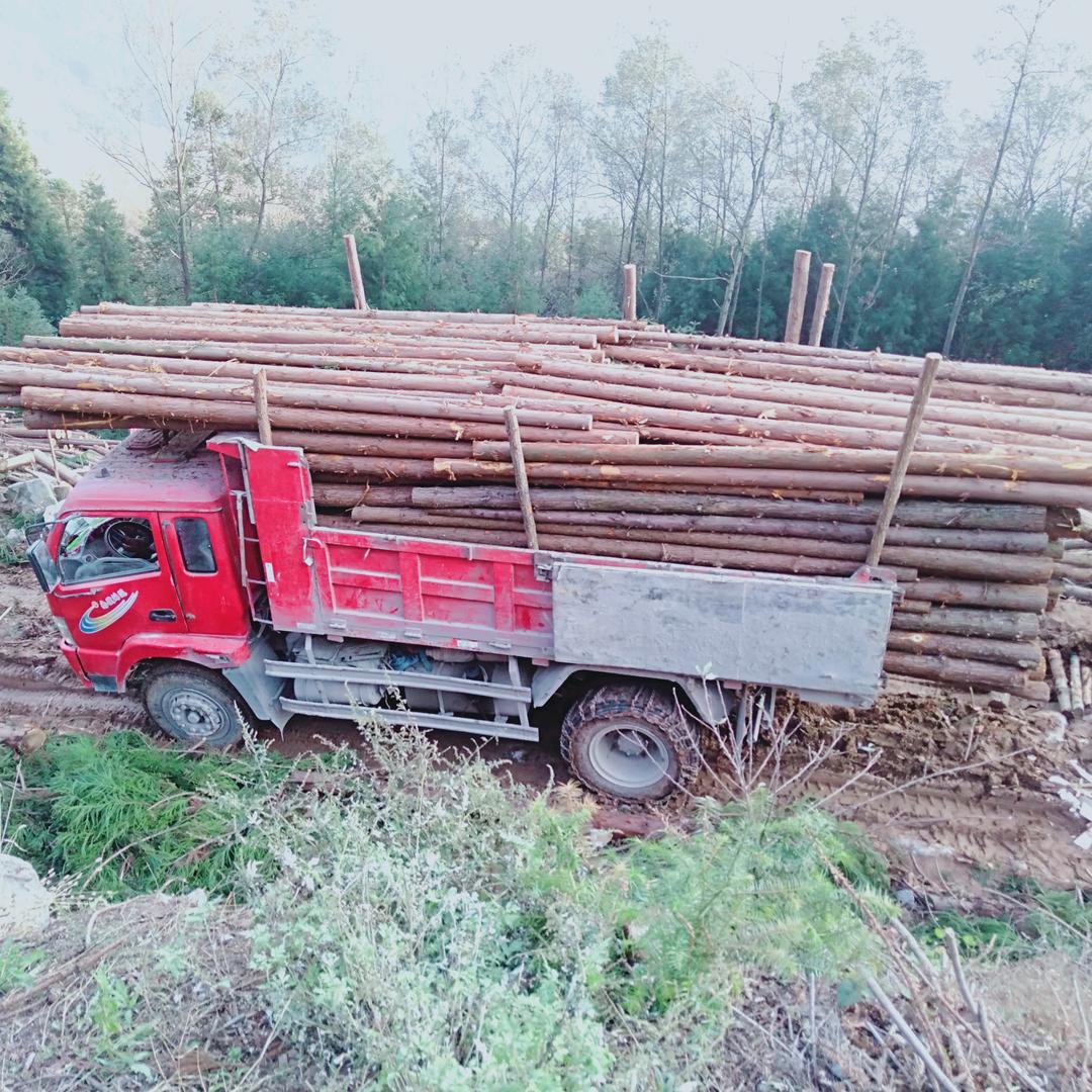 维生素D