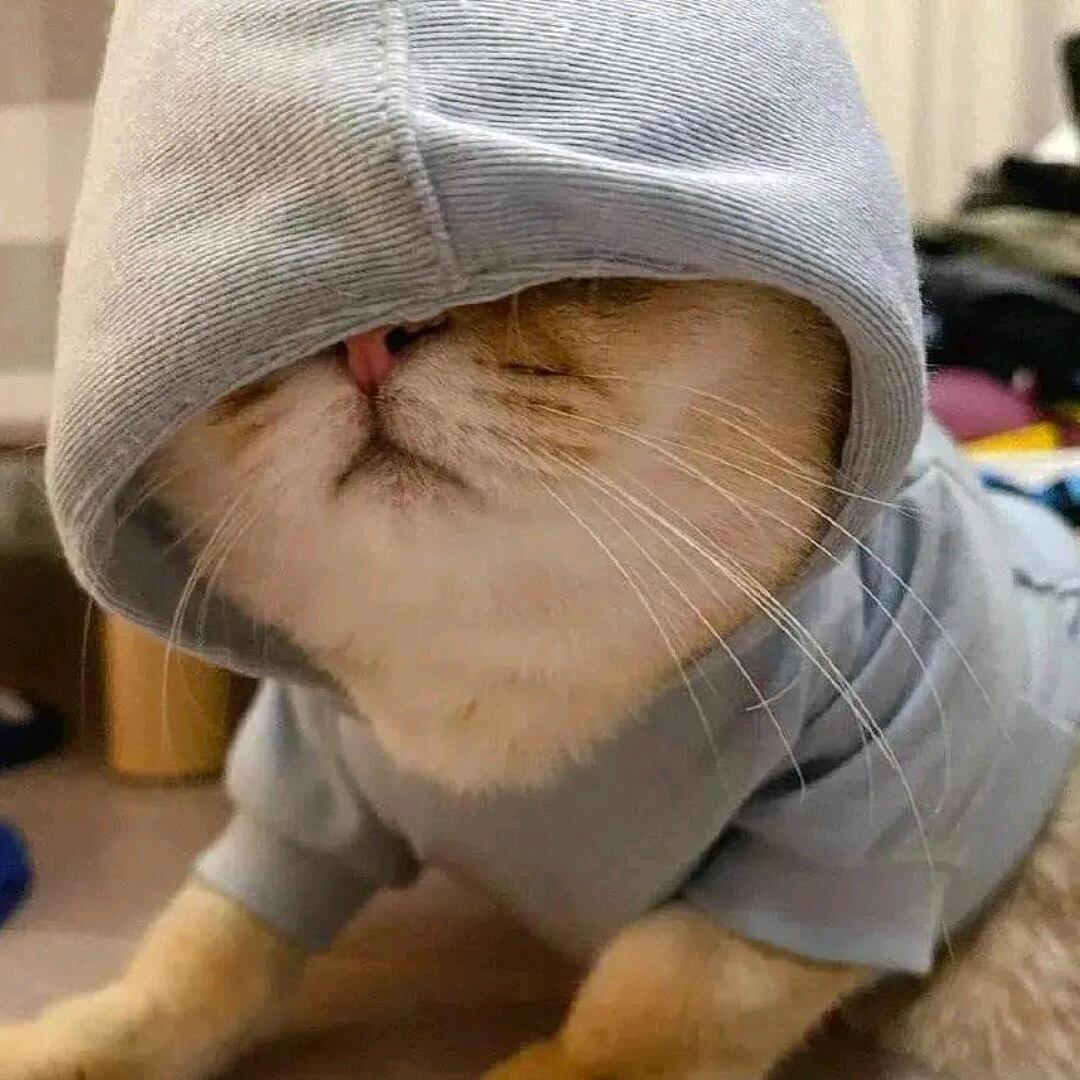 长矛沾💩捅谁谁亖