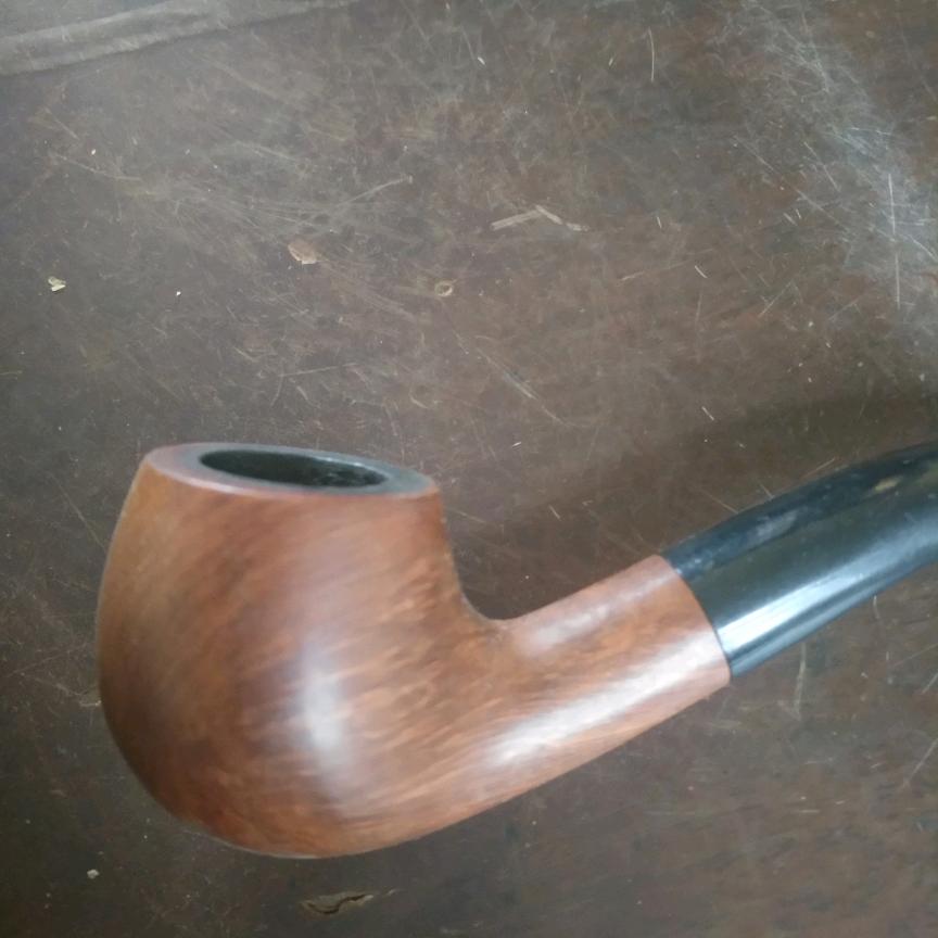 那个秋天