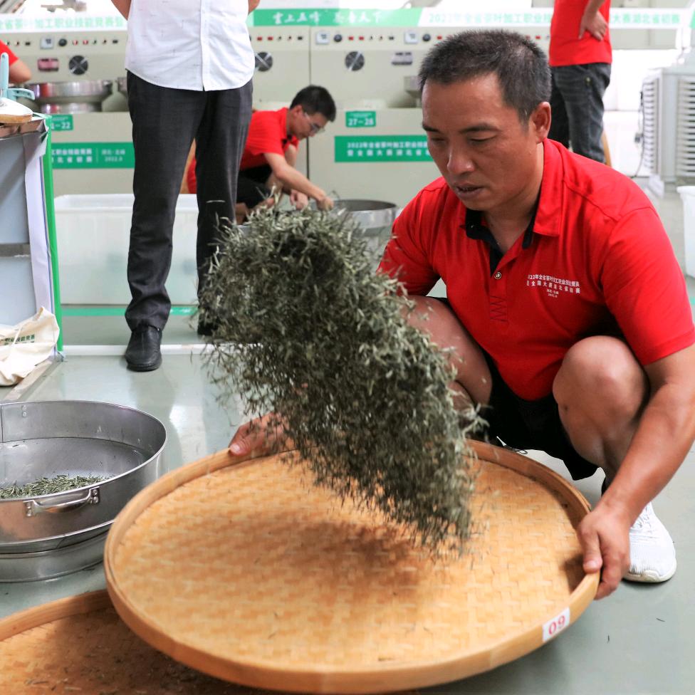 爱上电吹管——才锅