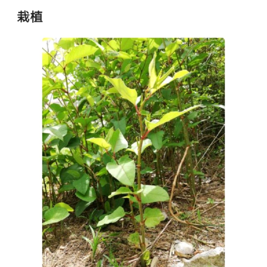 ∵ᵎ(•̀㉨•́)و😊 ̑̑ 饶二哥√