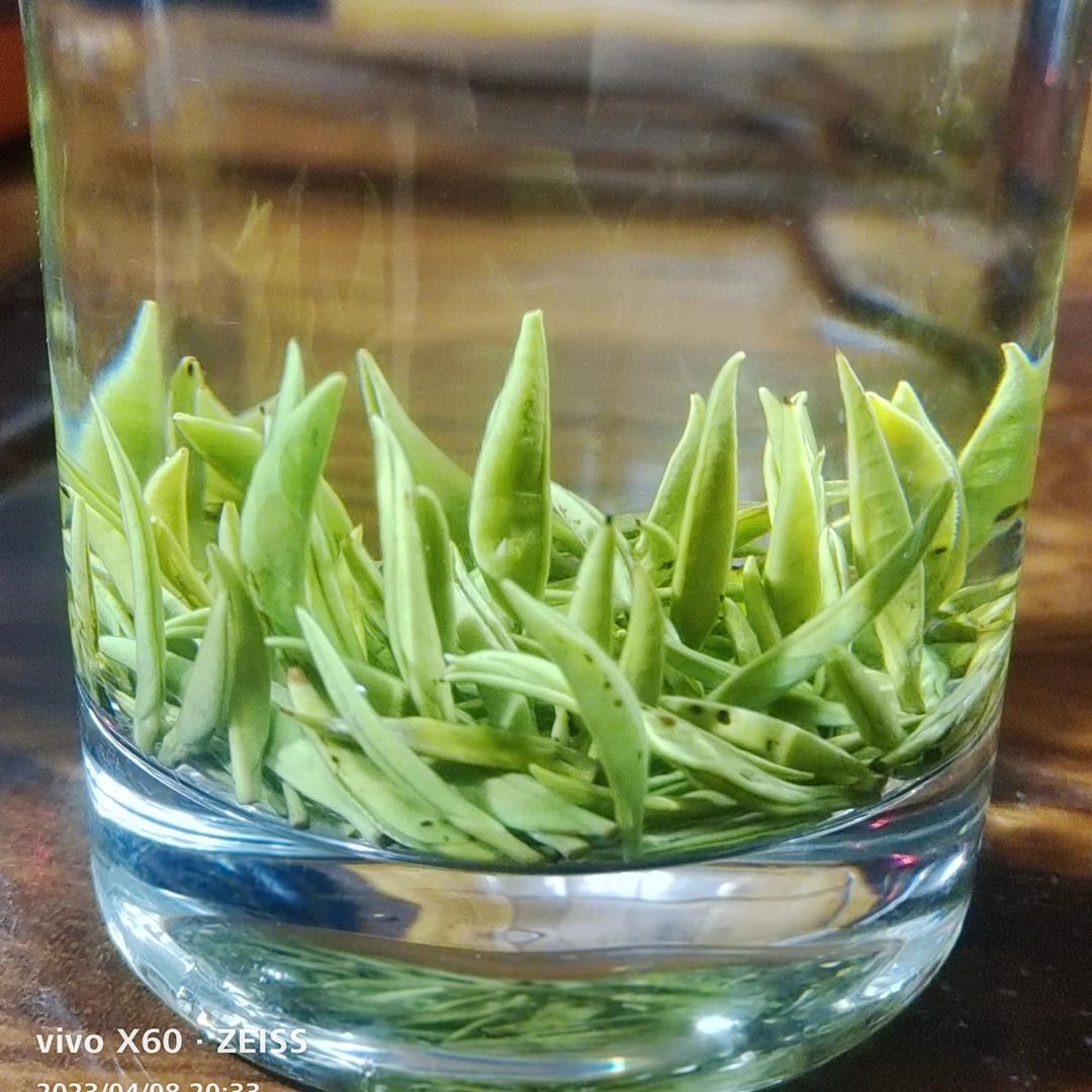 梦倾城
