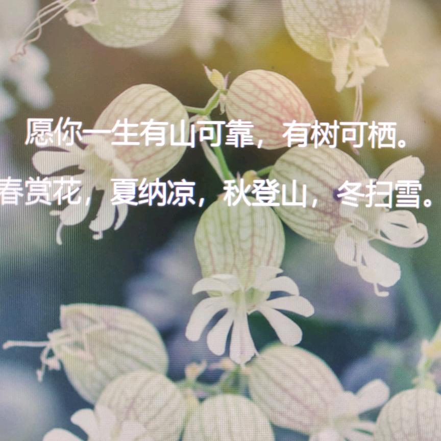 看书喝茶吃东西