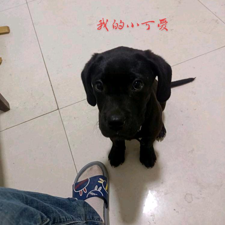 孤心亦寒