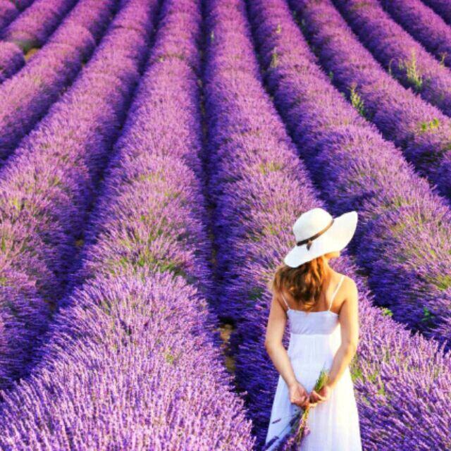 开开心心每一天😄