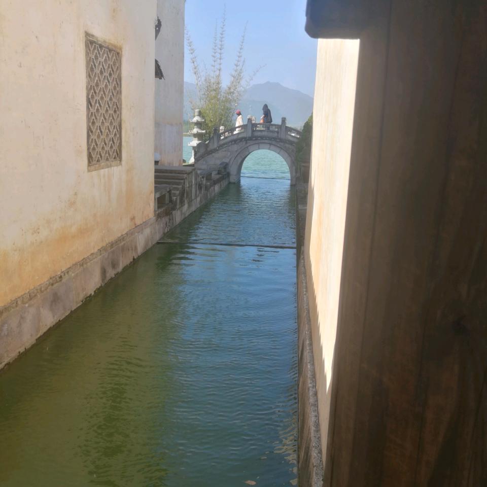 人到中年