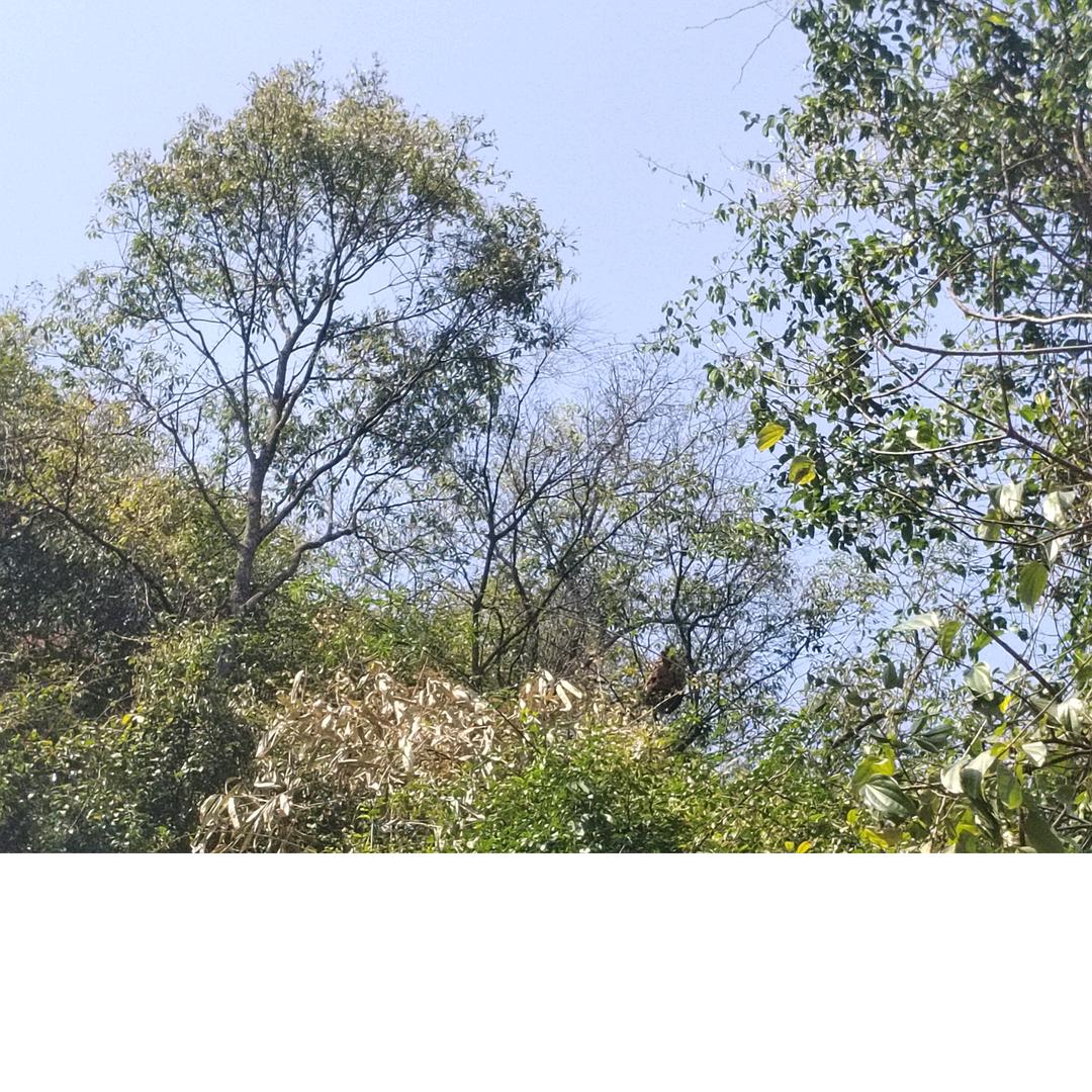 狐狸坪户外生活