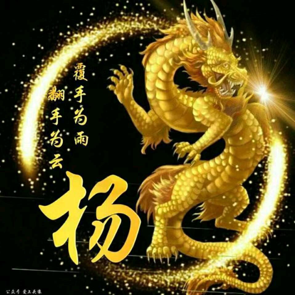 风铃草在东京散步