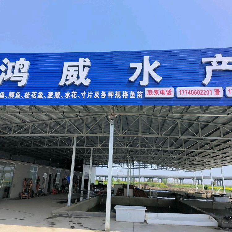 唐果果