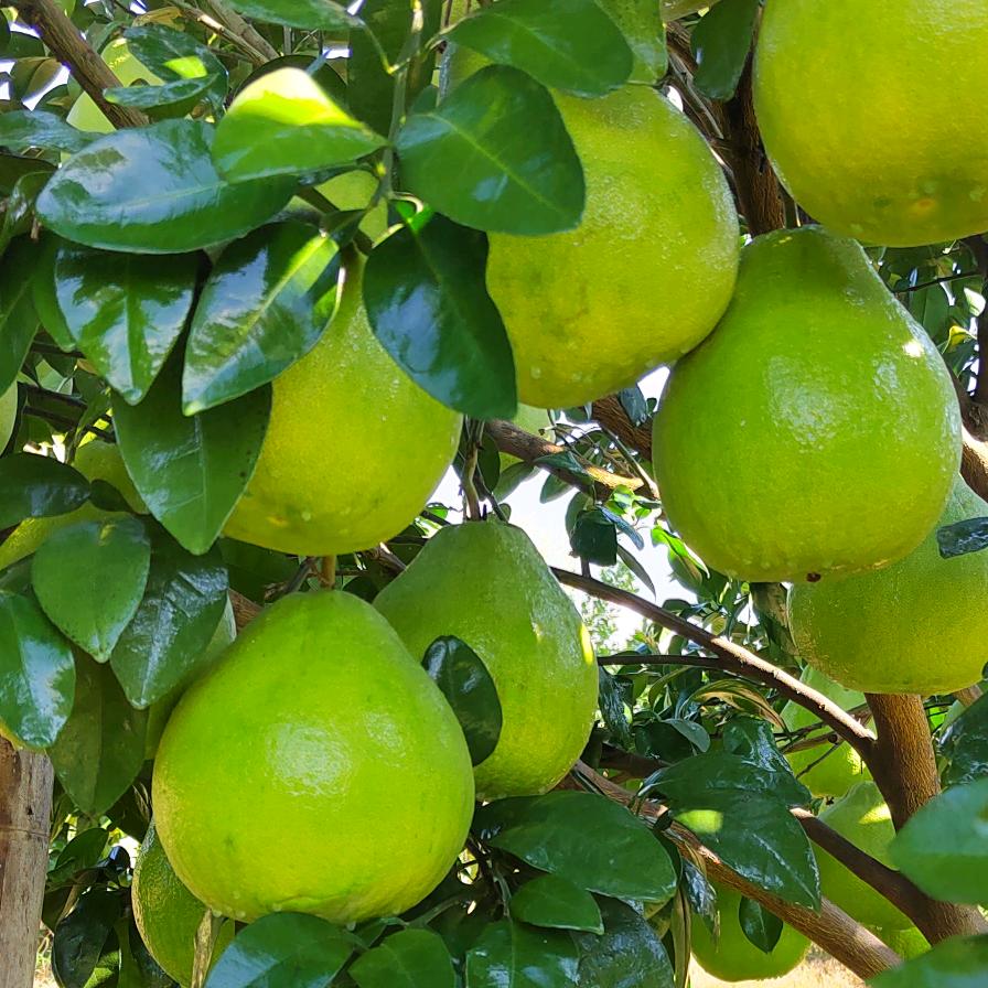 🚬᭄ℯ⃝运满ღ᭄ꦿ꯭乾坤