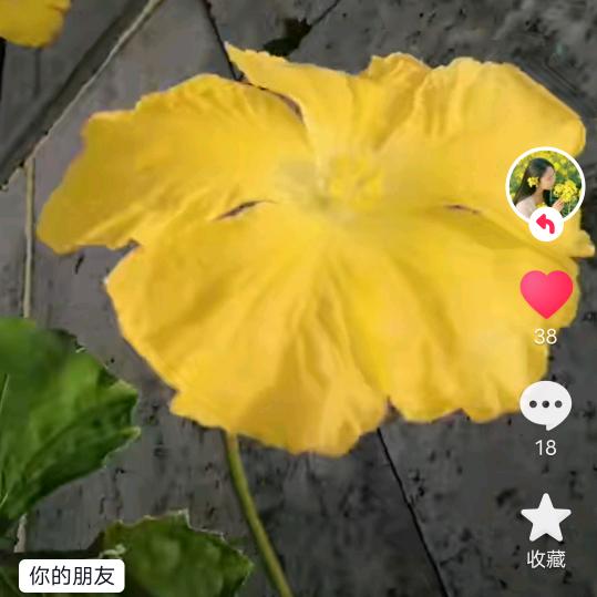 顺利