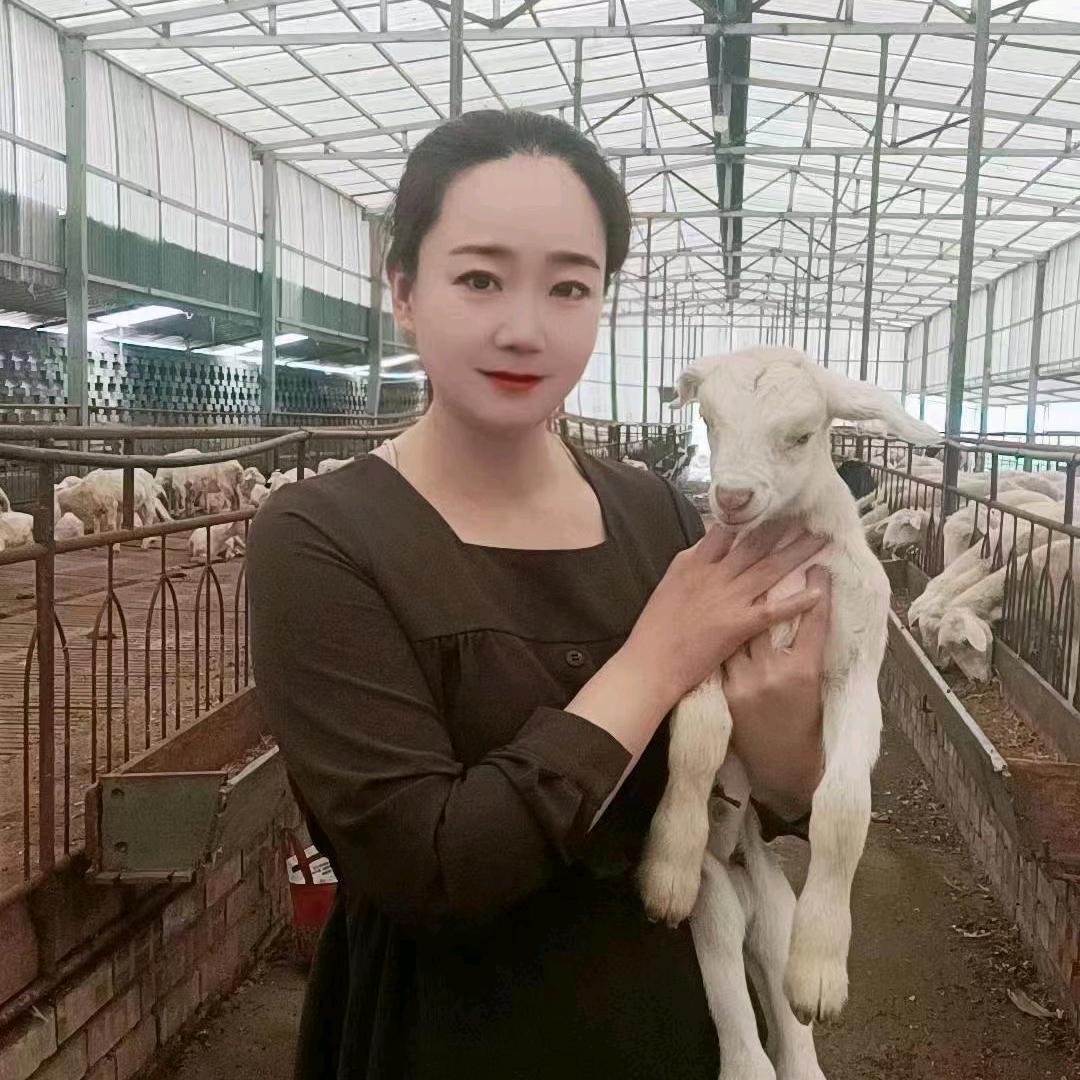 小丁说养殖