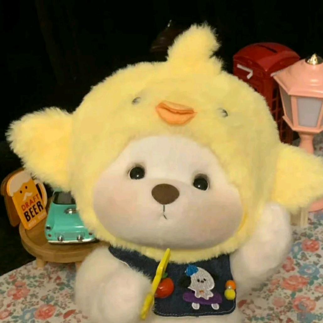 皮皮皮蛋瘦肉粥