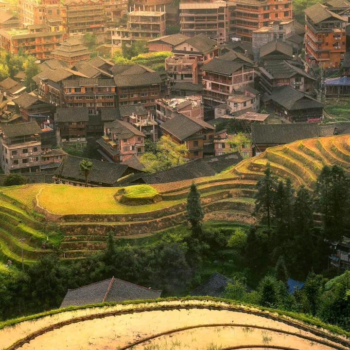 大橘子a