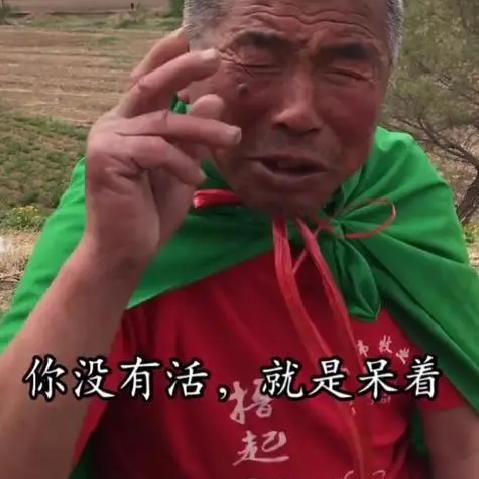 擎天柱☞虎子ge