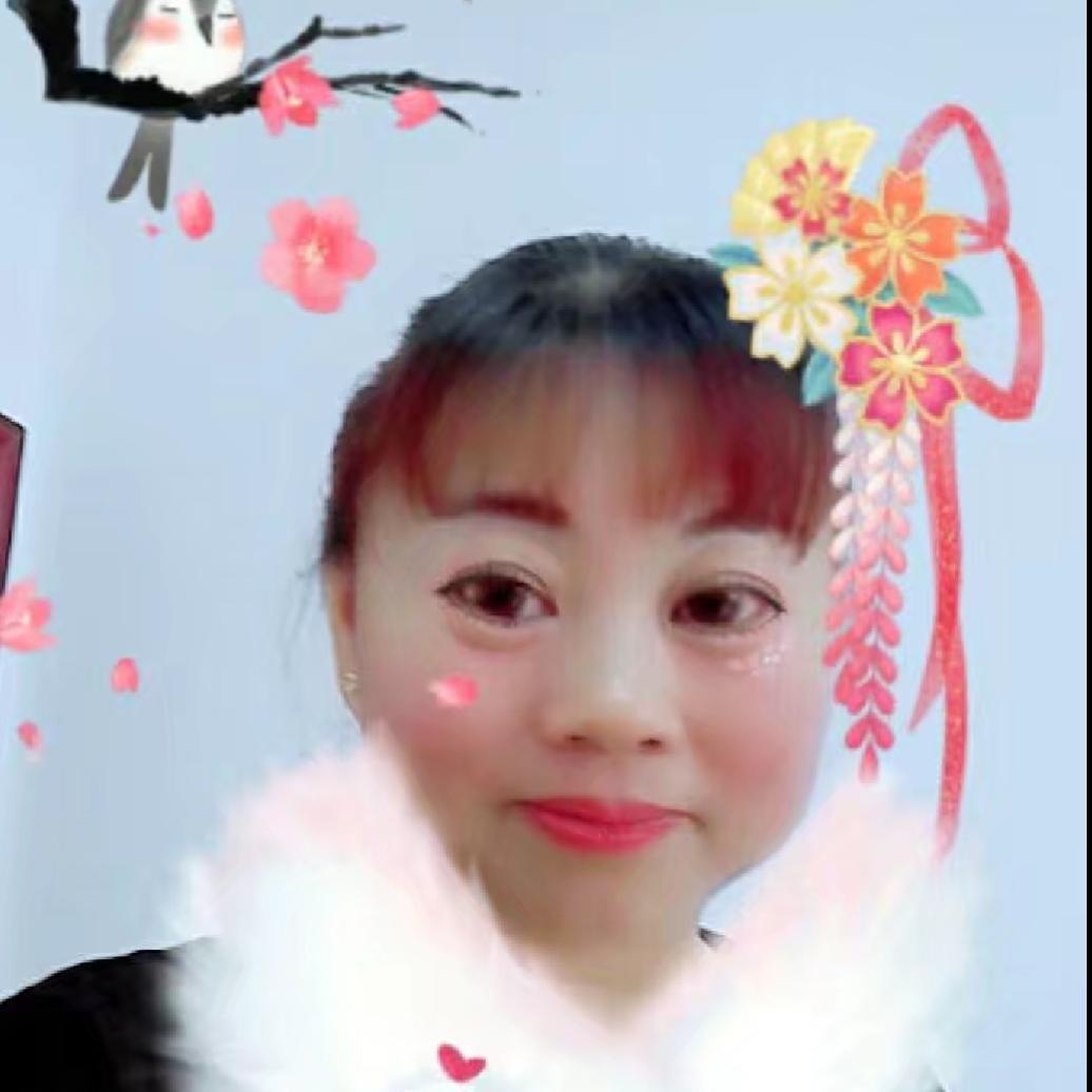 梅花ppp