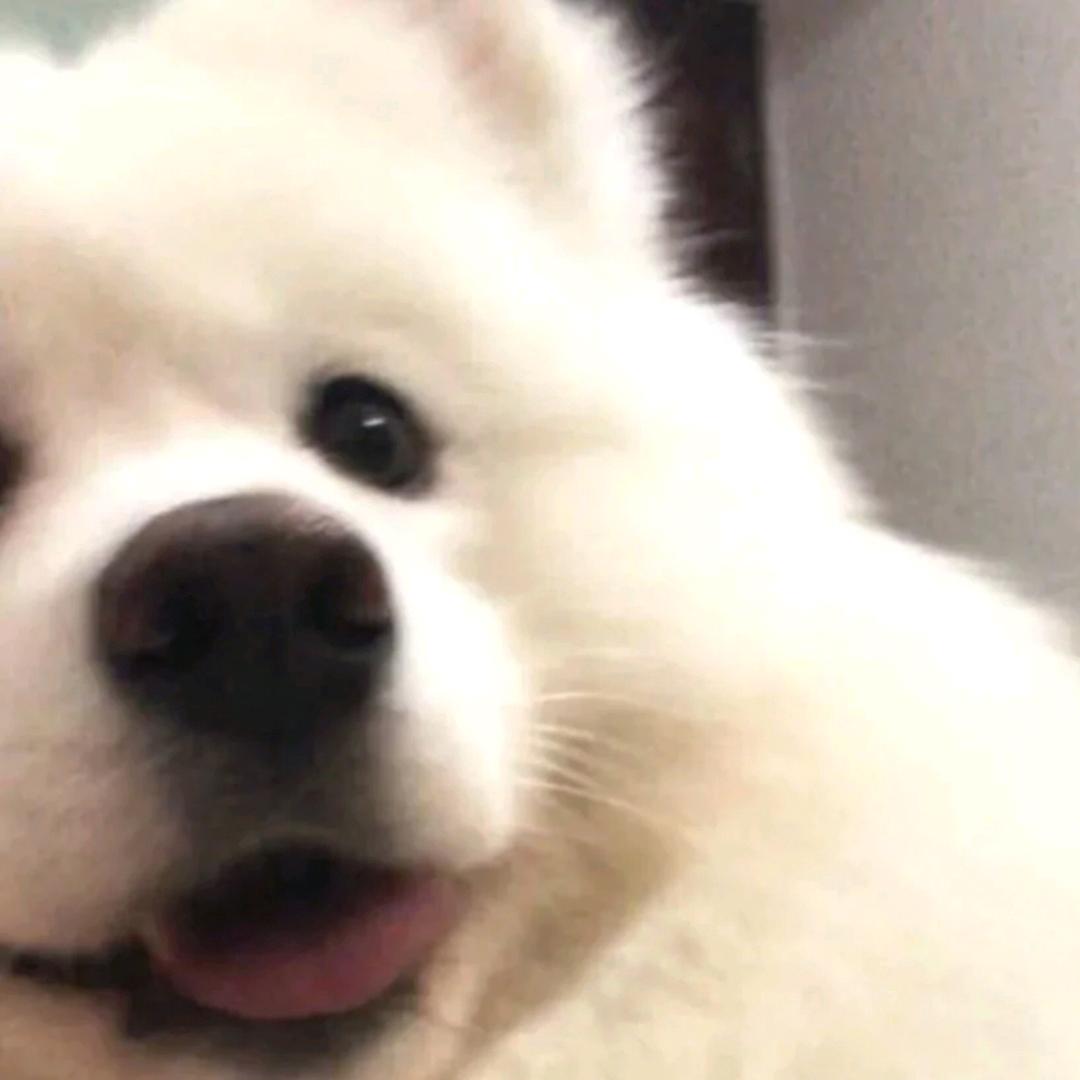 张皓骞