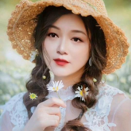 山茶花