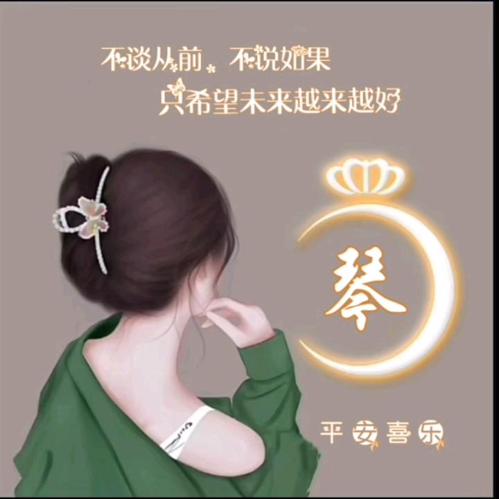 琴姐姐