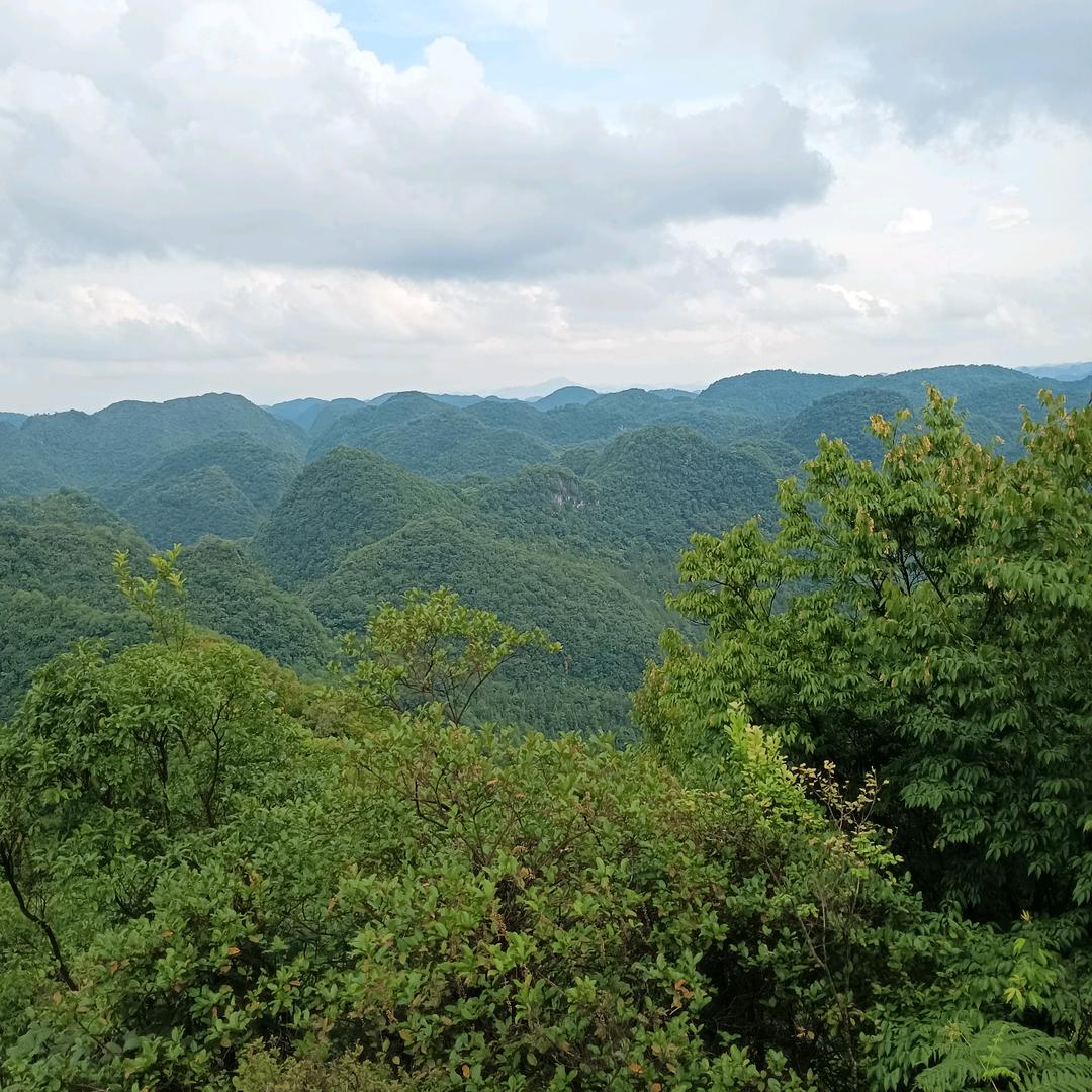 韦国明