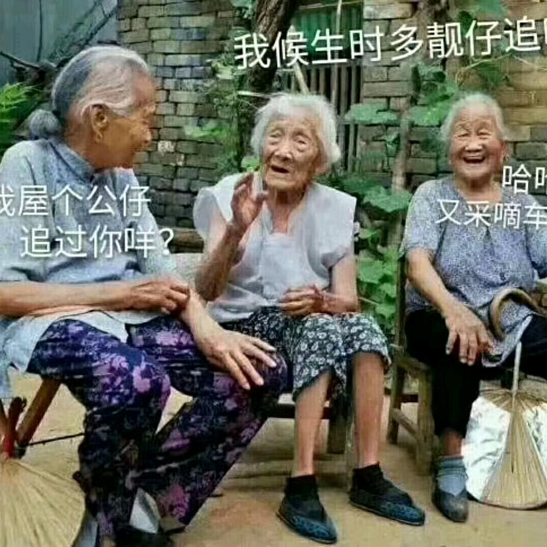 3632353381605