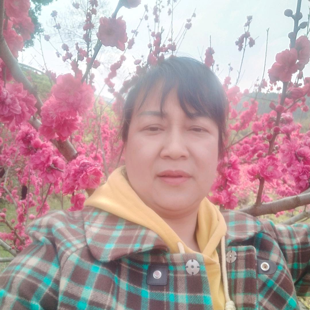 蓝世容