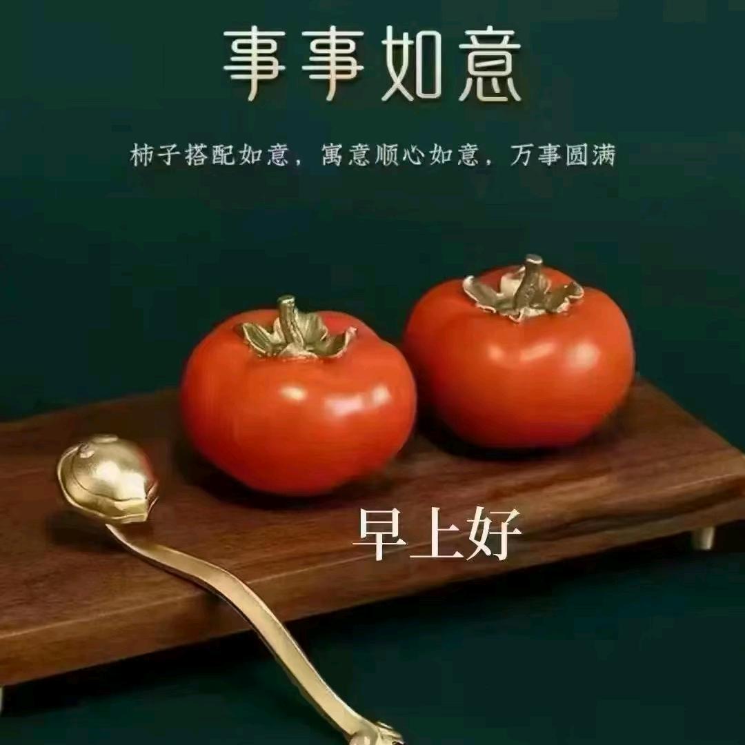 山东岳龙