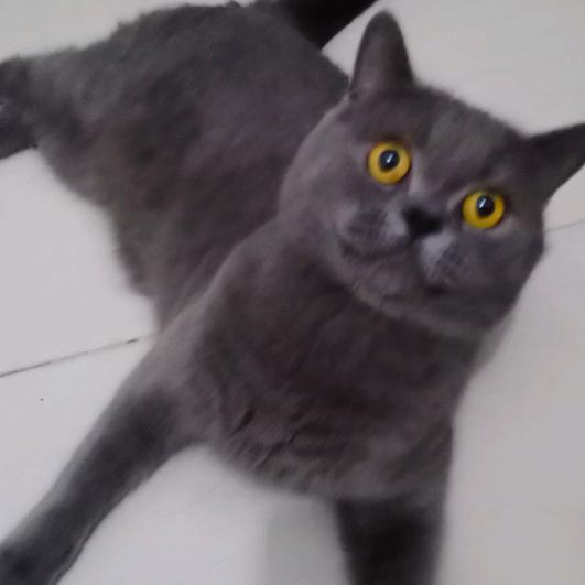 💚余ྎི生ྎྀ都是你᭄💕