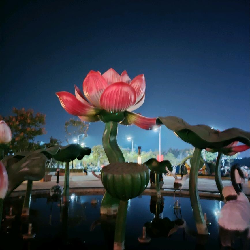 ღ꧁༺顾༒念༻꧂：一☾⋆᭄人