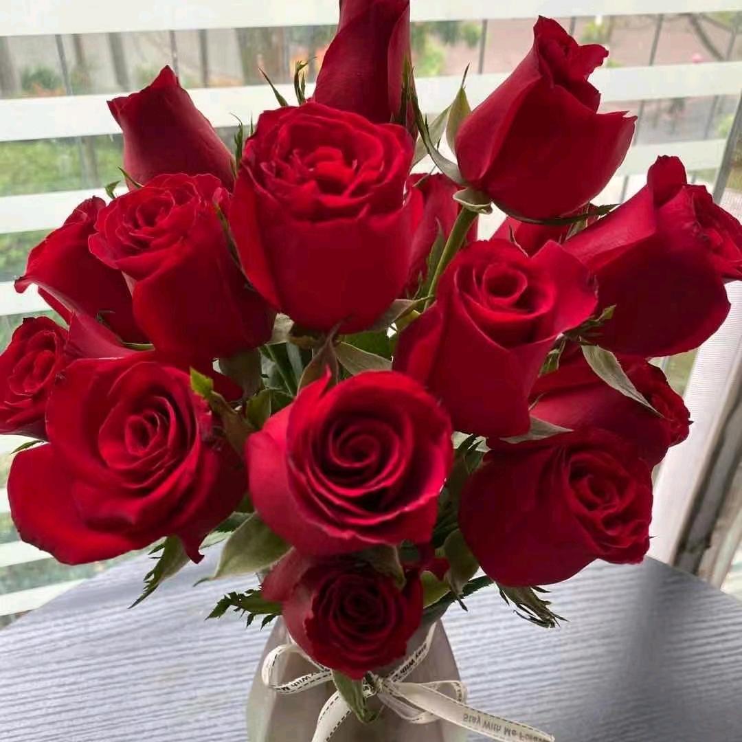 心若在、梦就在