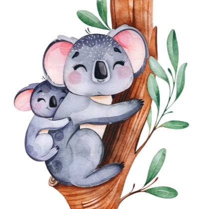 💗💗蓝色考拉💗💗