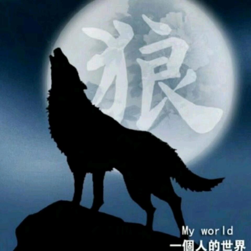 孤傲的狼