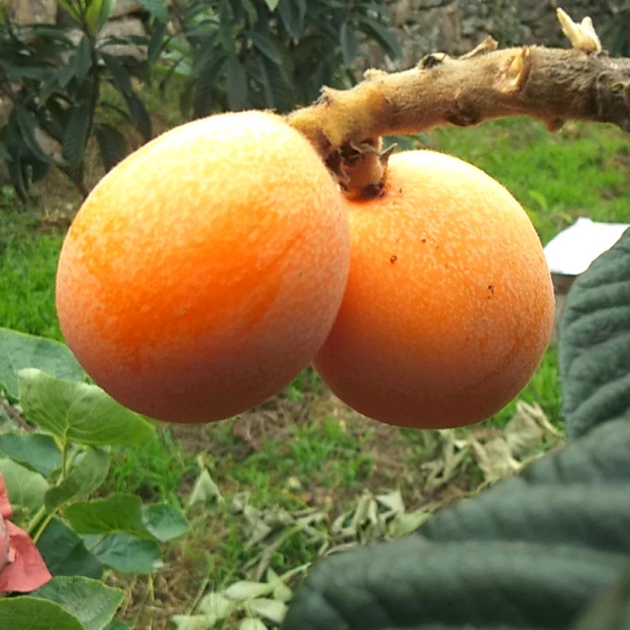 国涛。。路要之马力日久见人心