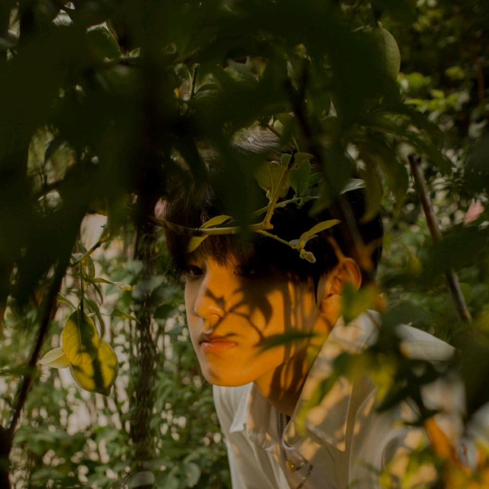 摘颗Zealot-周星星给你呀