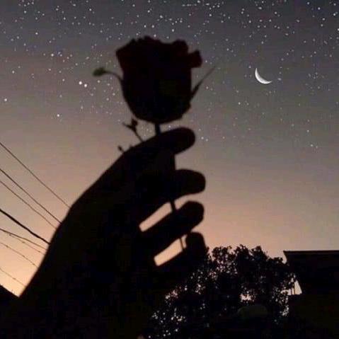 控糖的吃货